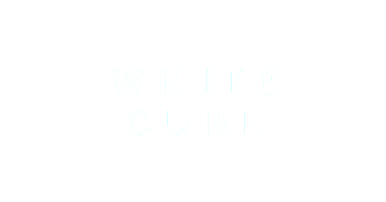 Screenshot of the White Cube (SOON_) website
