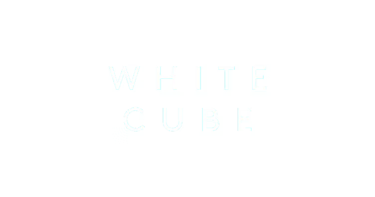Screenshot of the White Cube website